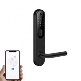 LINGIKOMPLEKT NL65BB  MUST...