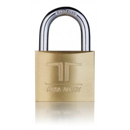 PADLOCK TESA 50mm